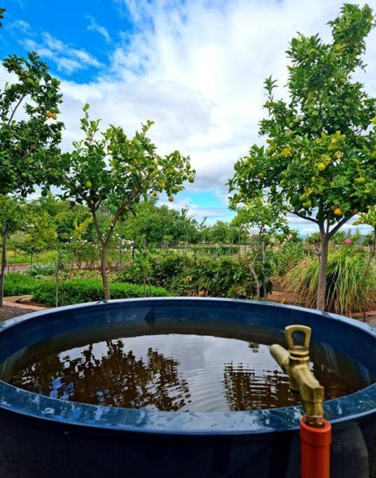 Klawerjas Flute Cottage ロバートソン エクステリア 写真